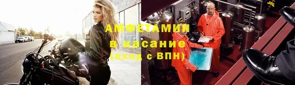 индика Вязьма