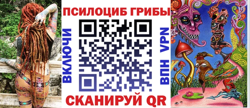 купить закладку Сусуман сайты даркнета какой сайт Галлюциногенные грибы Magic Shrooms